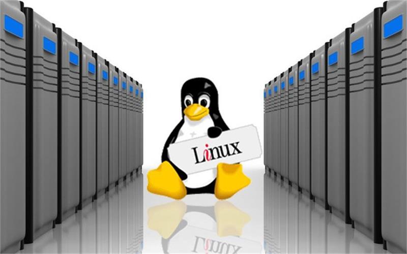 TOP 5 HỆ ĐIỀU HÀNH LINUX TỐT NHẤT NHẤT NÊN CÀI ĐẶT CHO SERVER NĂM 2019